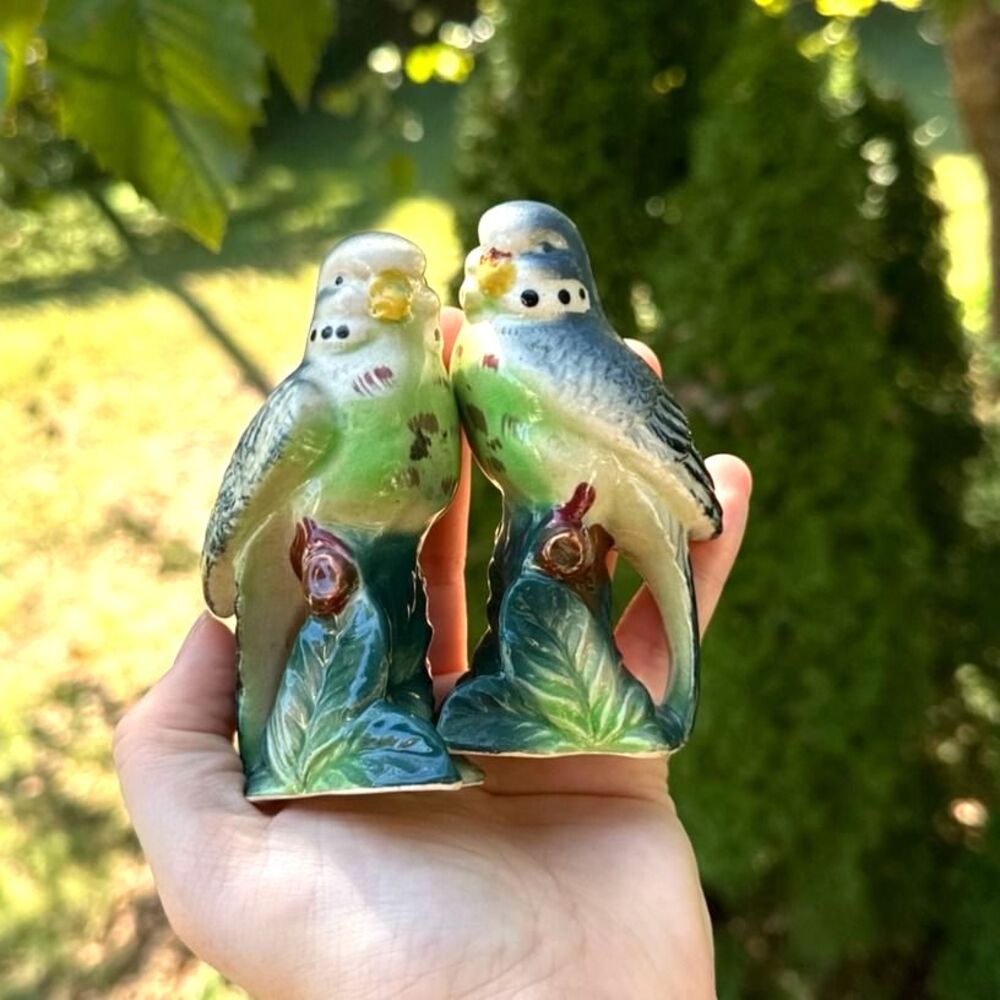 Vintage Porcelain Salt and Pepper Shakers Budgerigar Parakeets Birds